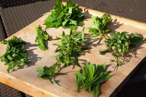 Rezept: Wildkräuter-Erdbeer-Salat