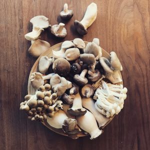 Shiitake Salat-Rezept